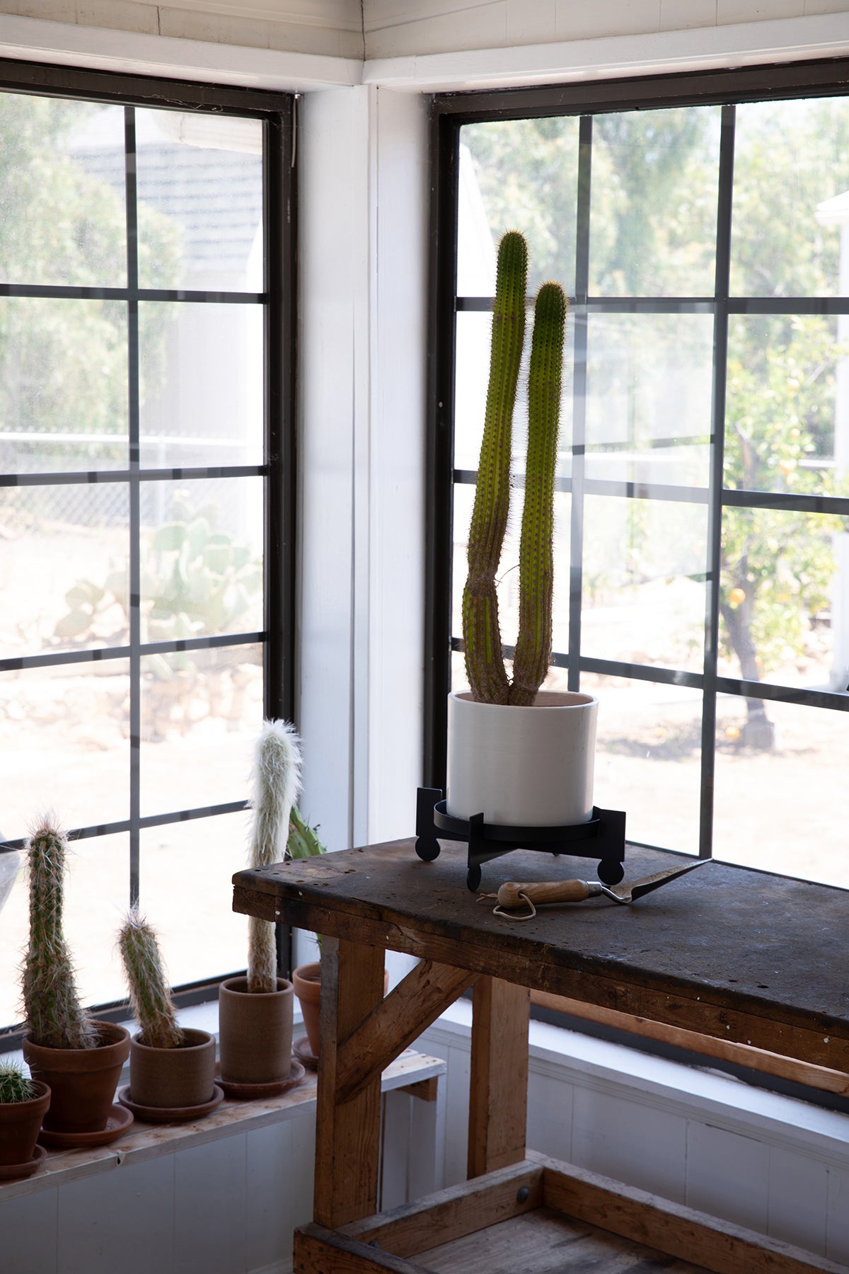 BAL - Black | Plant Stand