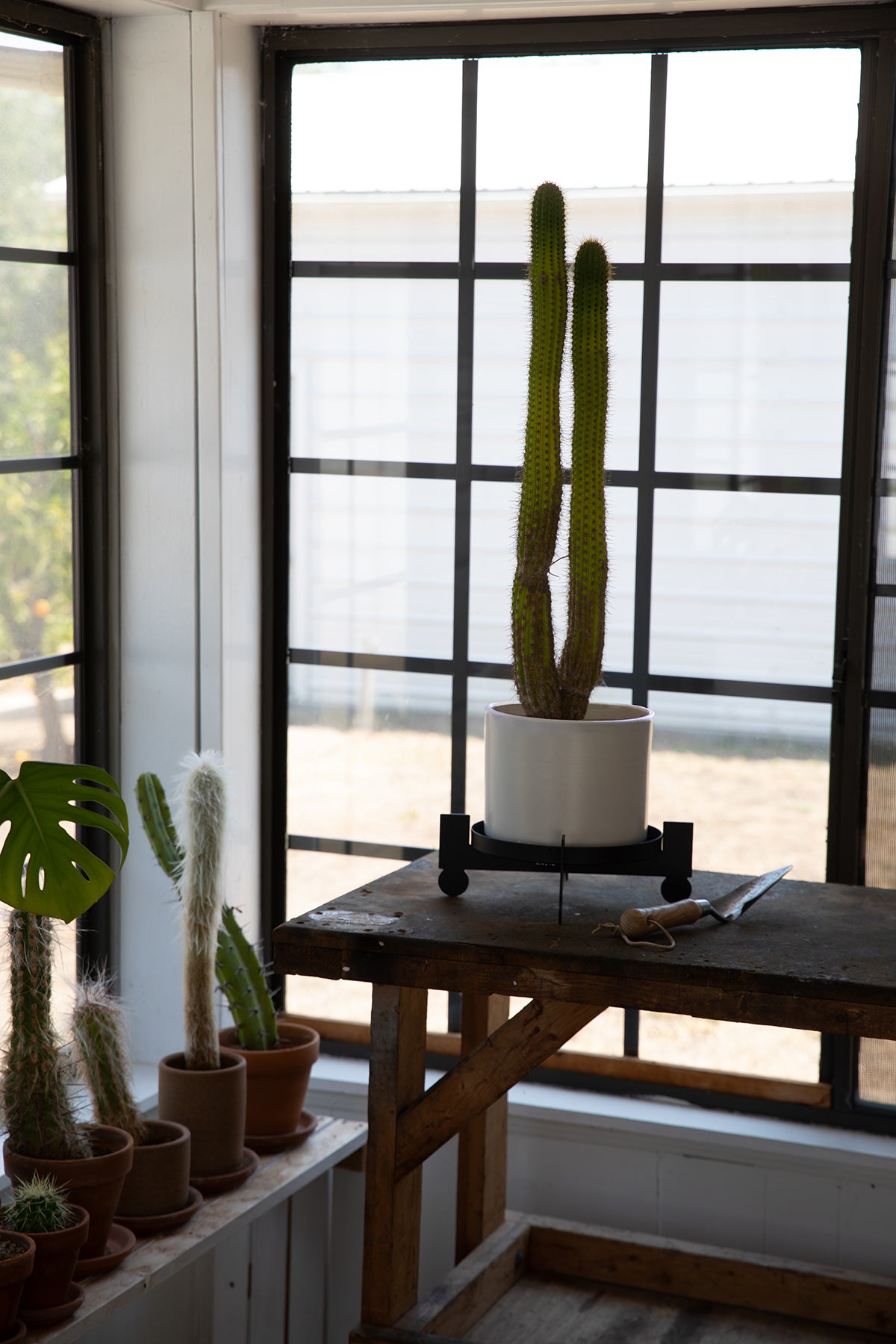 BAL - Black | Plant Stand
