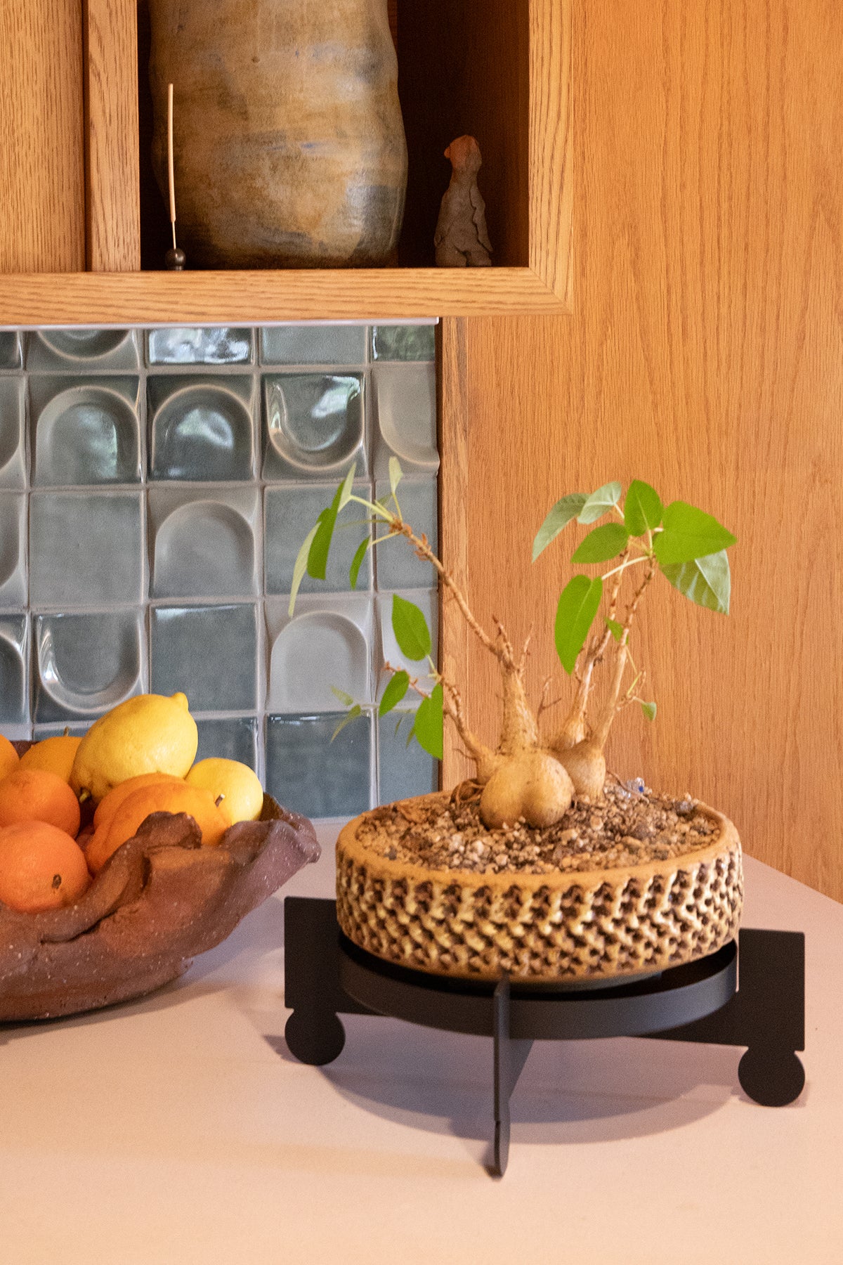 BAL - Black | Plant Stand