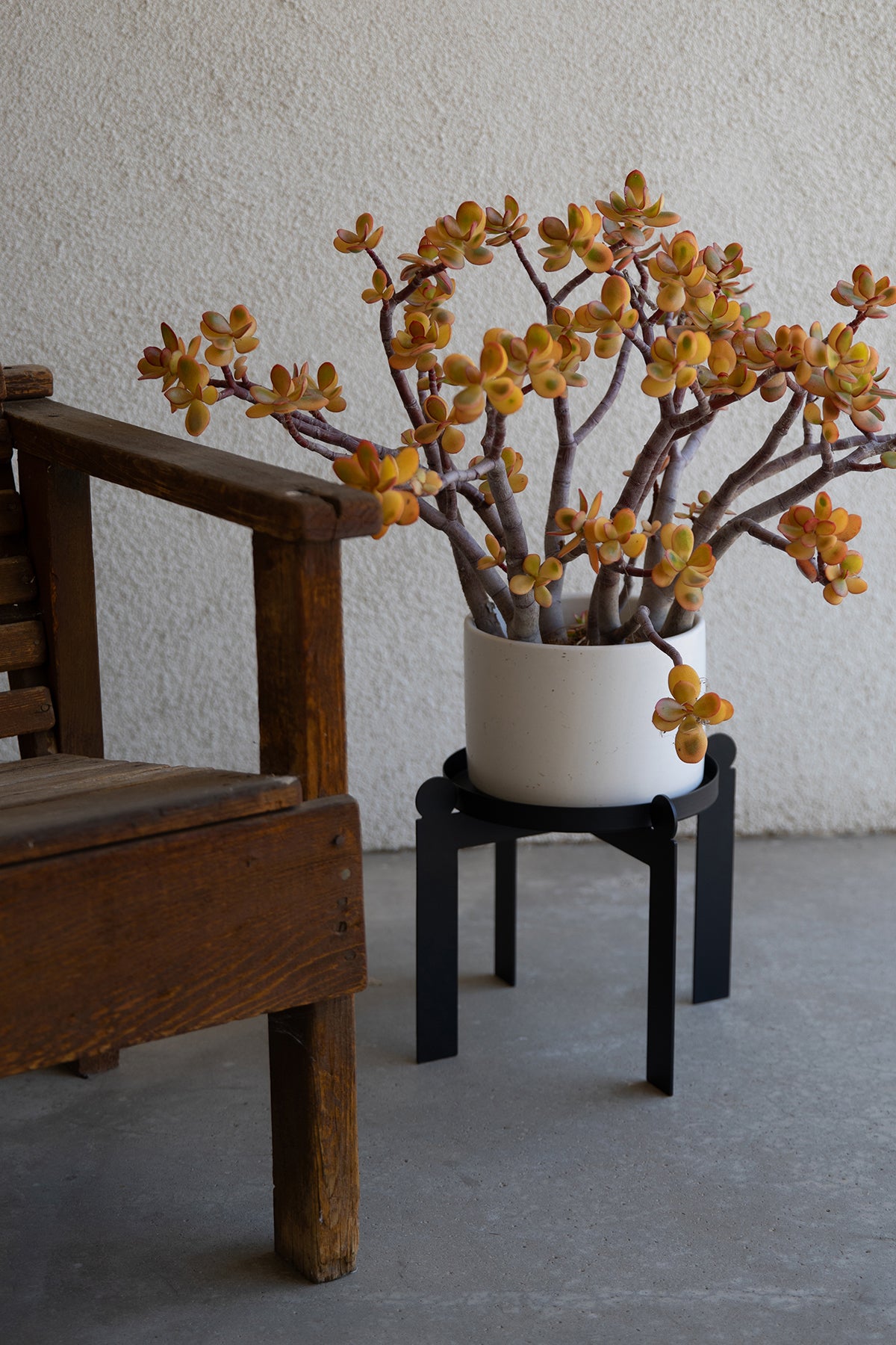 PALLA - Black | Plant Stand