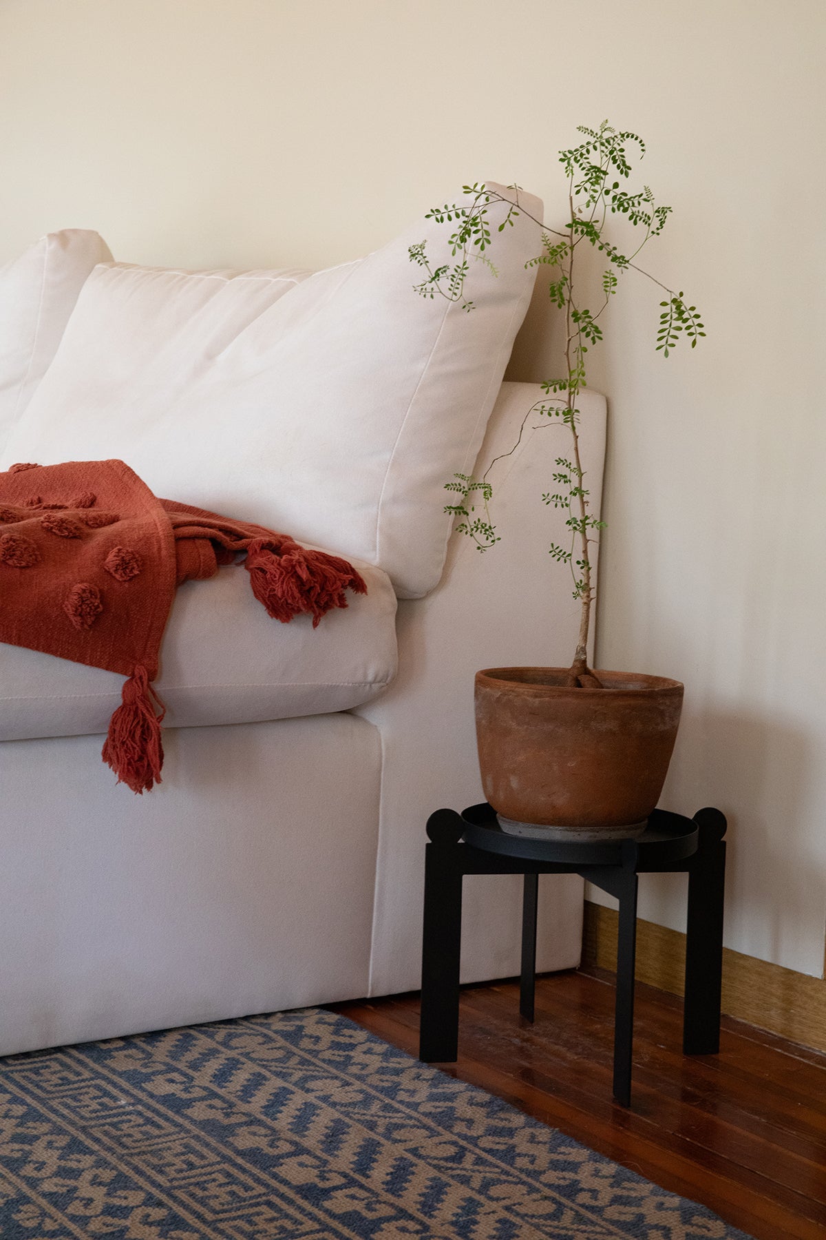 PALLA - Black | Plant Stand