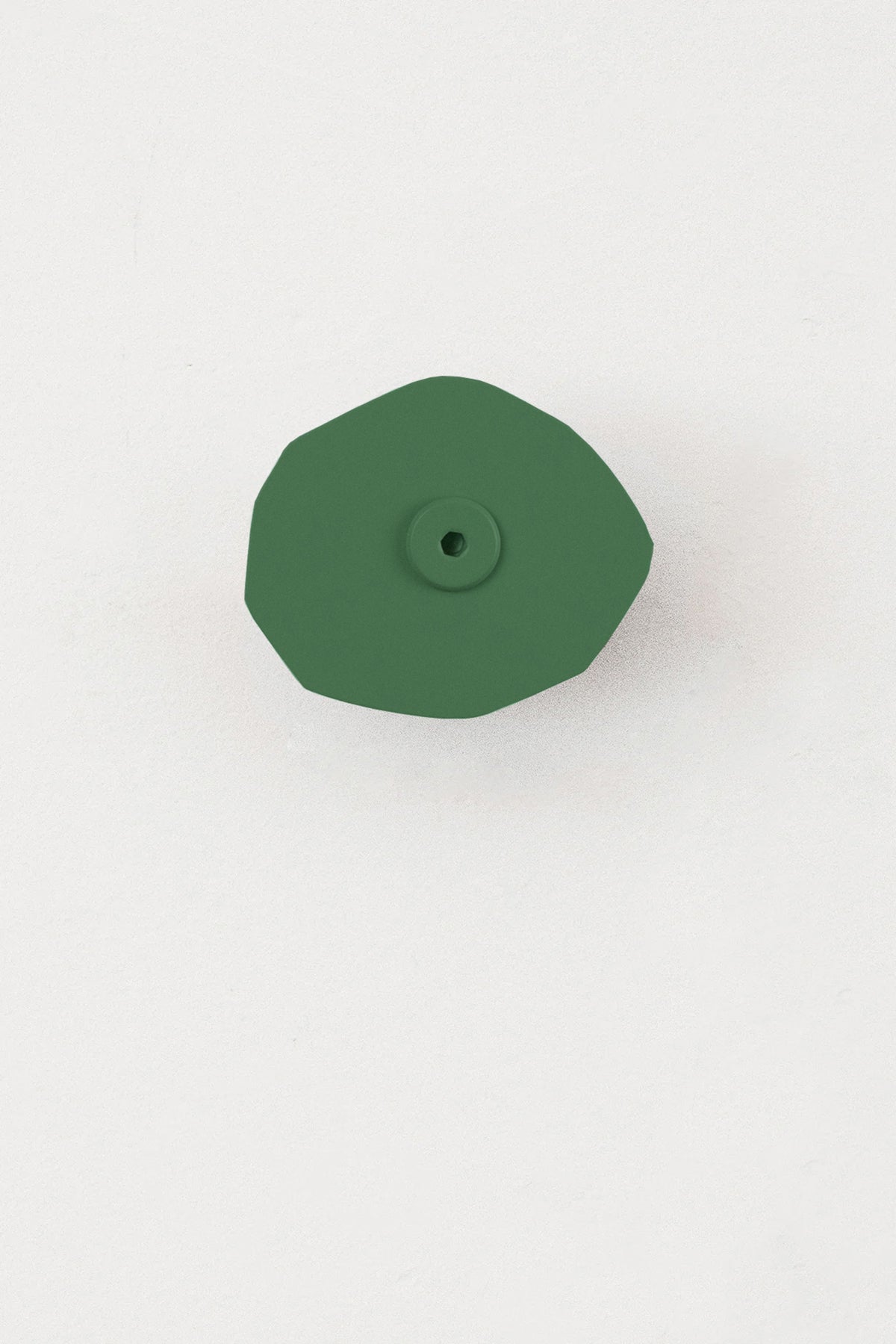CORTE - Pine | Wall Hook