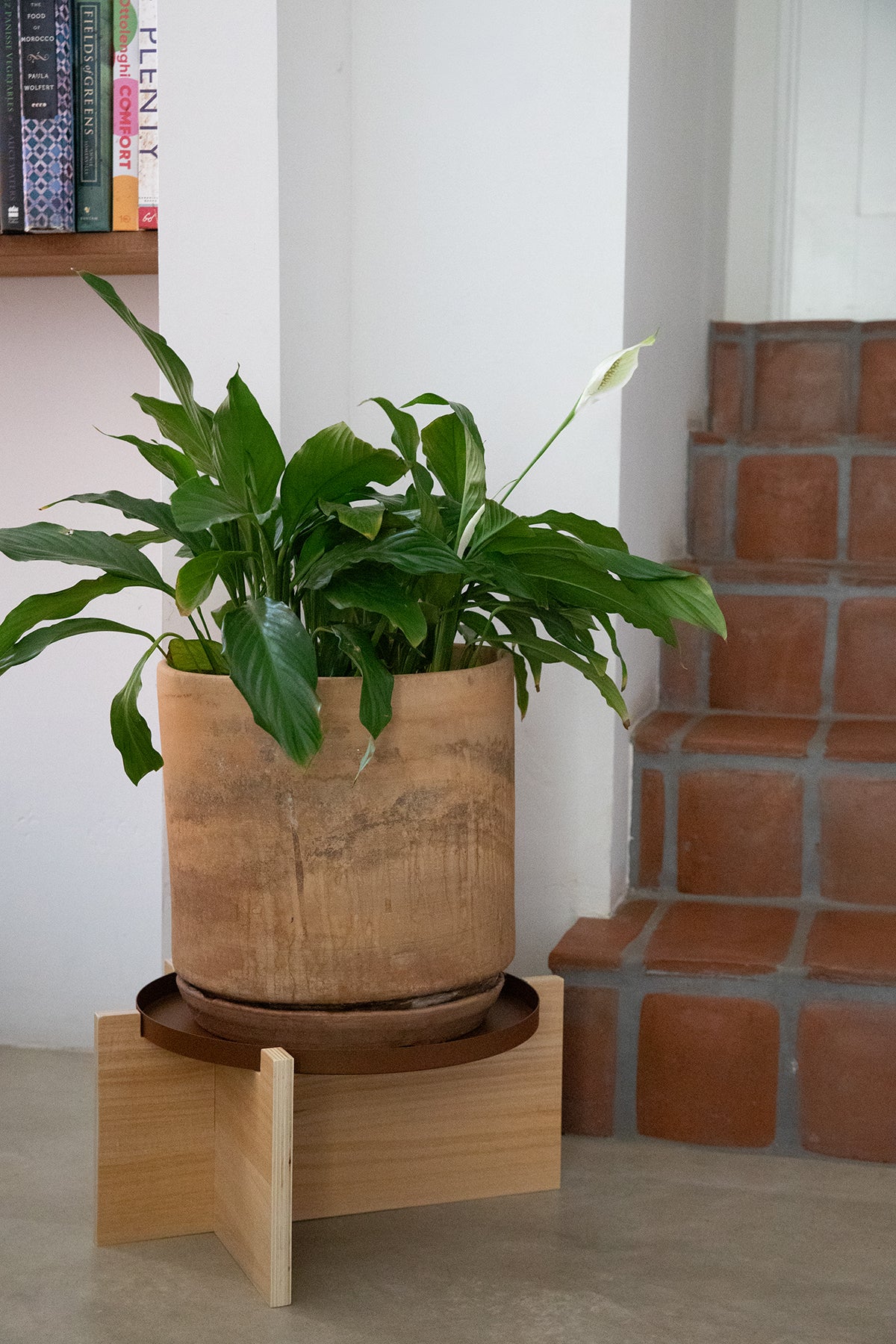 LANG - Brown | Multipurpose Plant Stand