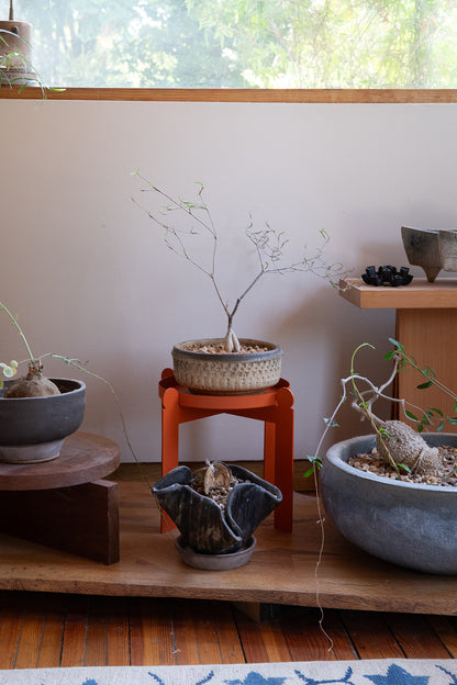 PALLA - Burnt Orange | Plant Stand