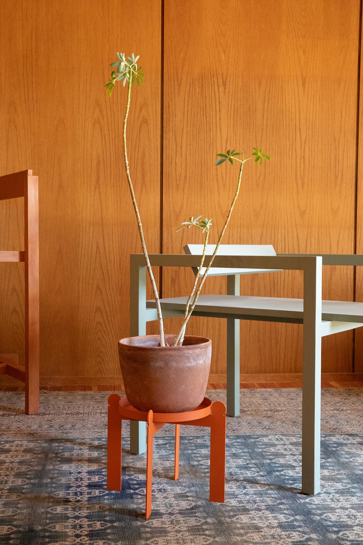 large burnt orange plant pot Plant Stands, Plant Holders by Upton | PALLA Modern Plant Stand - Burnt Orange | Powder-Coated Steel