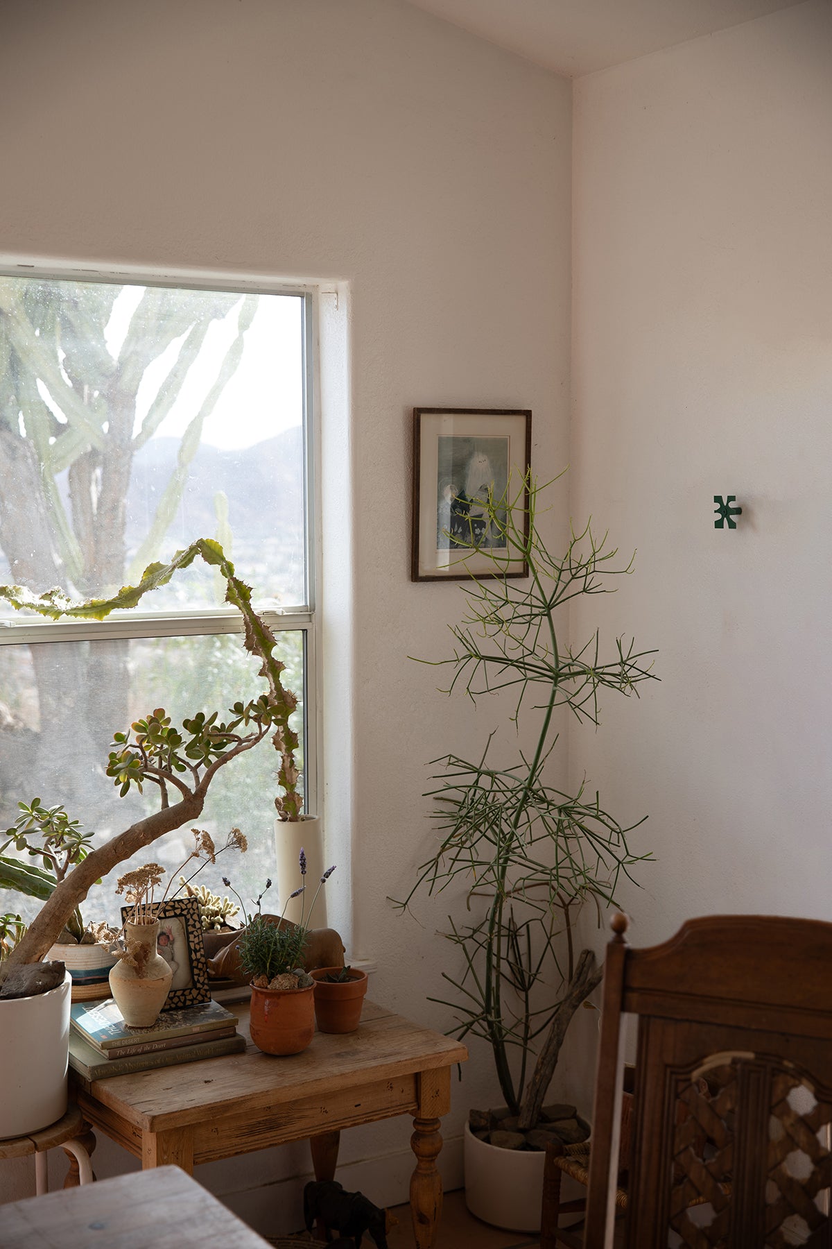 Upton Klipp Wall Hook in pine. A sculptural decorative steel wall hook with a pine green color scheme with a unique abstract shape, designed to hang bags, coats, towels, hats, and more. Shown here in a rustic interior with potted succulents and cactus plants on a wooden table with sun coming through the window.